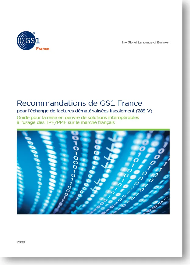 ecom-recommandations-techniques-demat-fiscale-289-v