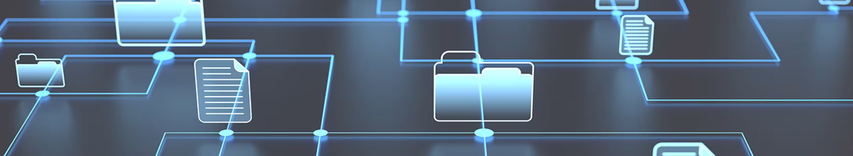 banner EDI