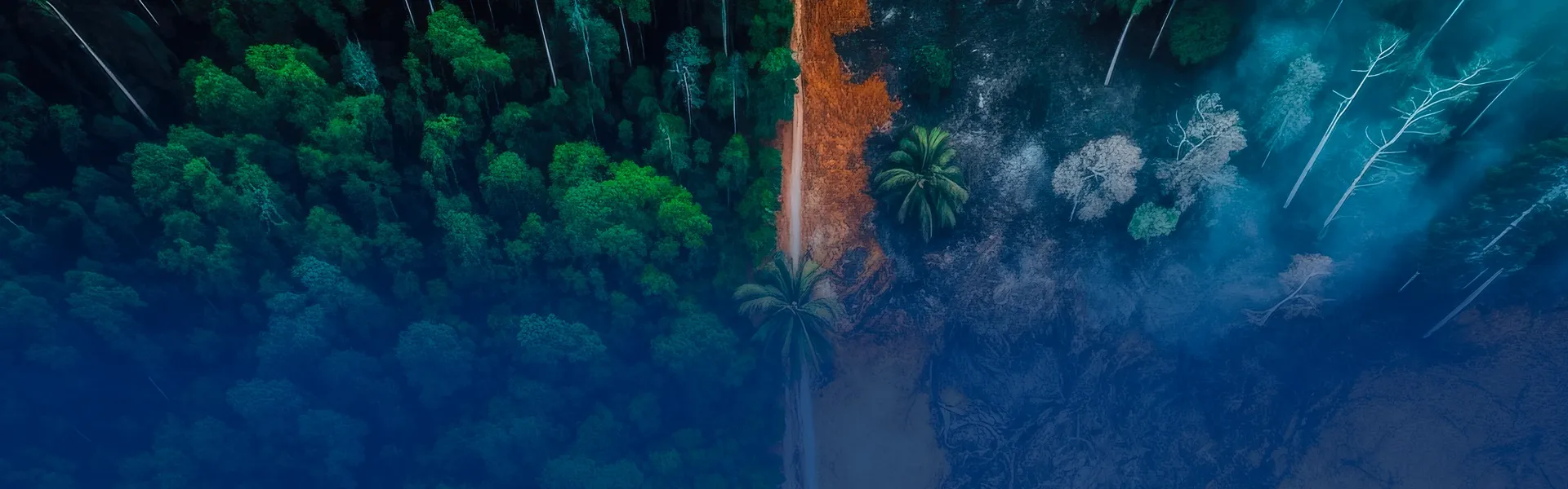 hero banner deforestation