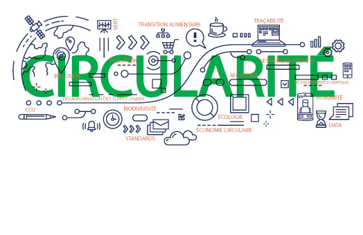 economie circulaire schema