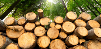 card rdue documents techniques