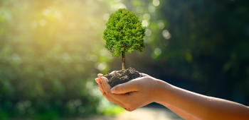 card rdue groupe de standardisation