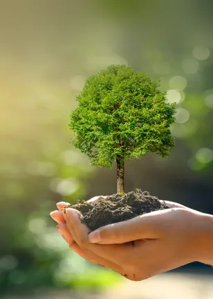 card filière agriculture floutée