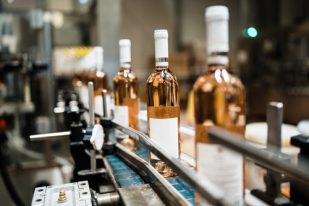 ligne de production vins