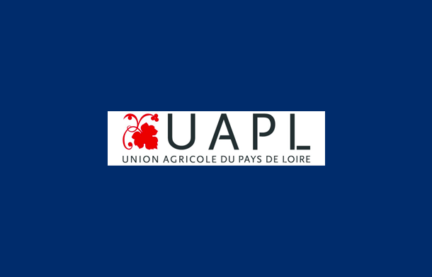 content banner uapl