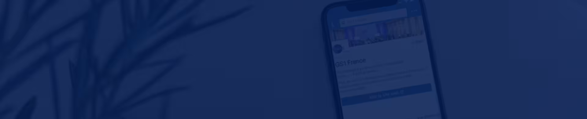 gs1 france linkedin