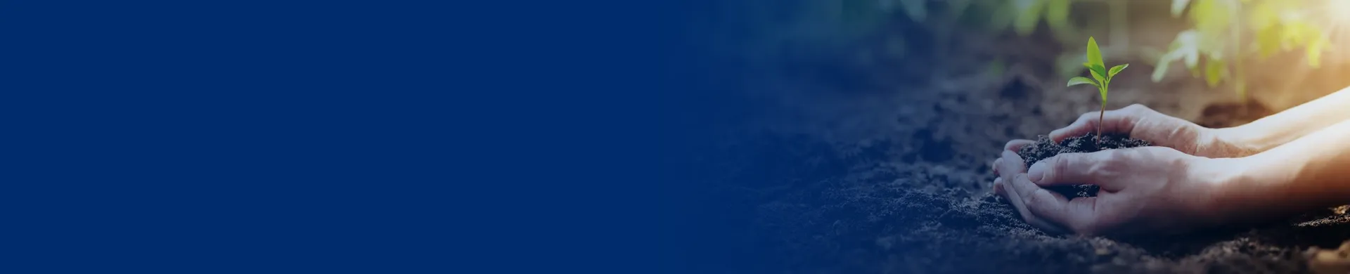 content banner agriculture