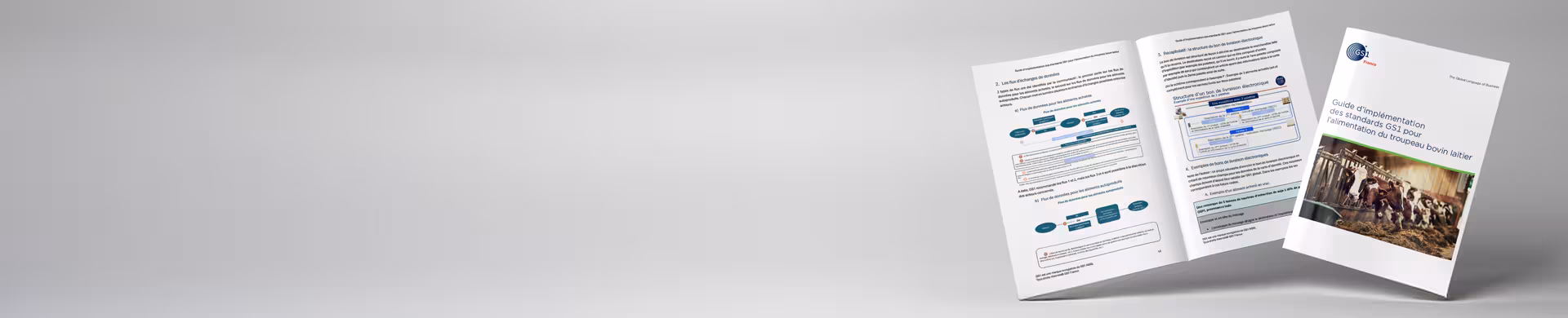 feature banner guide bovalim