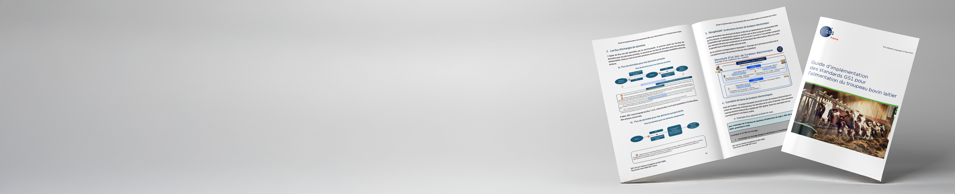 feature banner guide bovalim