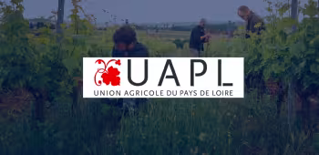 case study uapl
