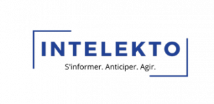 logo intelekto